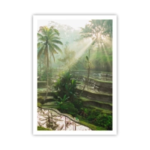 Poster - Crescere al sole - 70x100 cm