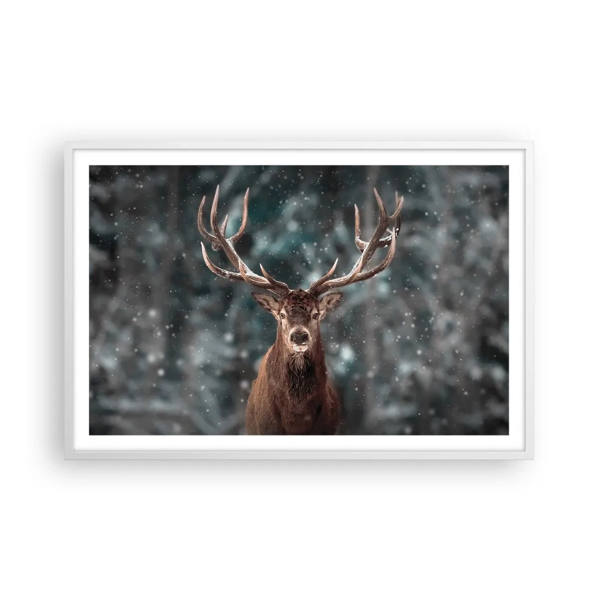 Poster in cornice bianca - Il re del bosco incoronato - 91x61 cm