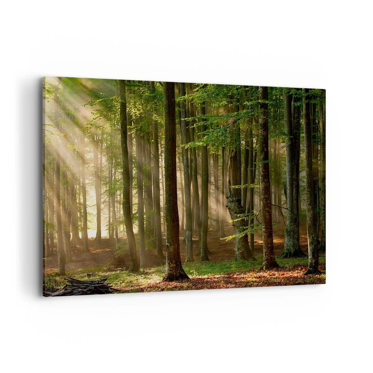 Quadro su tela - Stampe su Tela - Raggi di sole che penetrano attraverso gli alberi nella foresta - 100x70cm - Raggiante in un mattino di primavera - Decorazione murale moderna per soggiorno e camera da letto ARTTOR