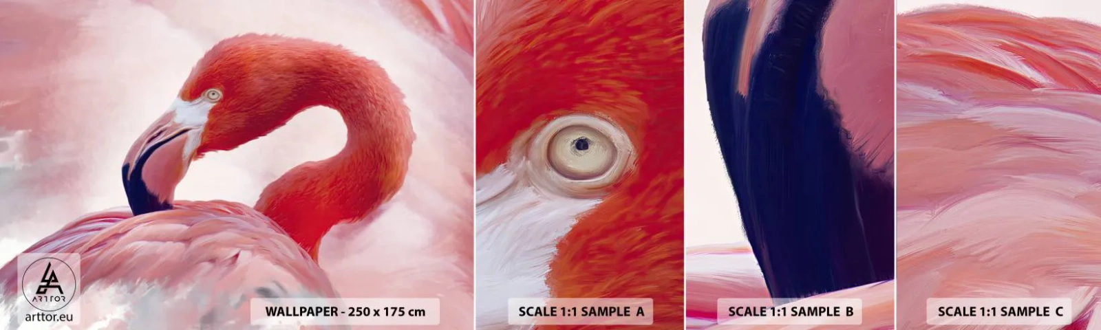 Campione di Fotomurale Adesivo Deluxe Sticker - Bellezza alata - Fenicottero, Uccello, Natura - 100x30 cm