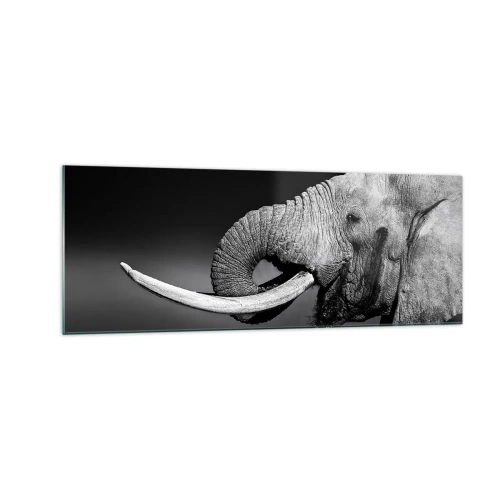 Quadro su vetro - Ritratto in bianco e nero di un elefante di profilo - 140x50cm - Si, adesso va bene - Decorazione murale moderna per soggiorno e camera da letto ARTTOR