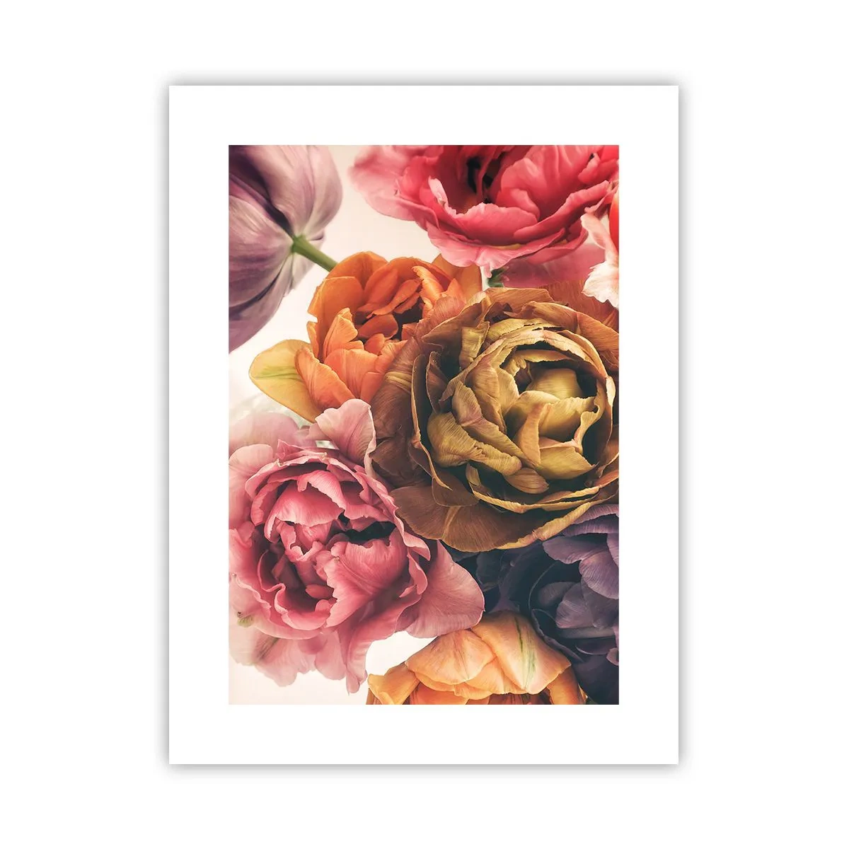 Poster - La festa della vita - 30x40 cm