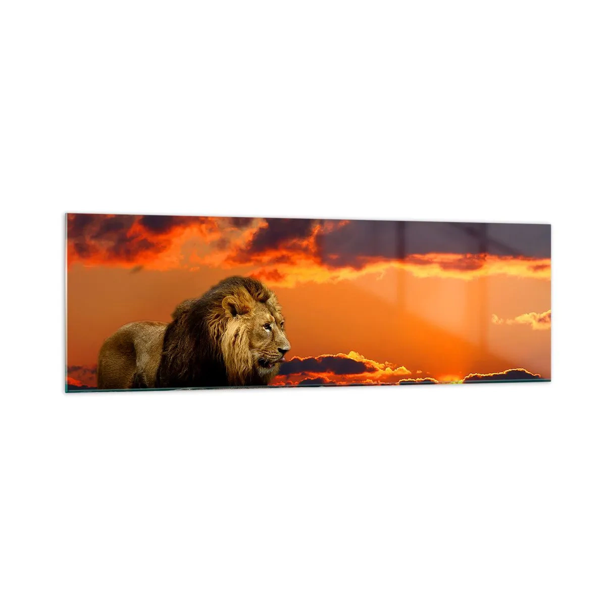 Quadro su vetro - Un leone riposa in riva all'acqua al tramonto, con un cielo spettacolare. - 160x50cm - Il re della natura - Decorazione murale moderna per soggiorno e camera da letto ARTTOR
