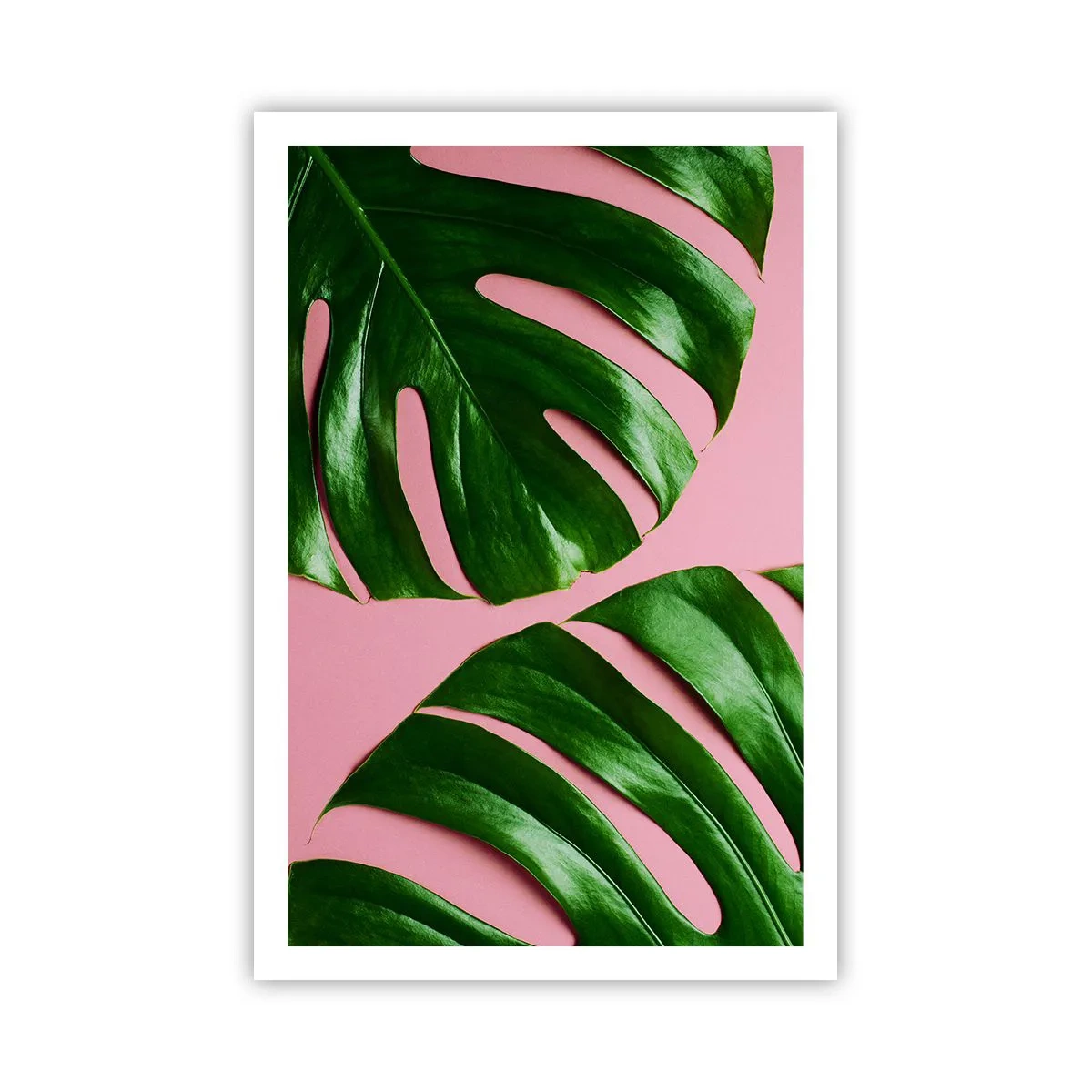 Poster - Appuntamento in verde - 61x91 cm