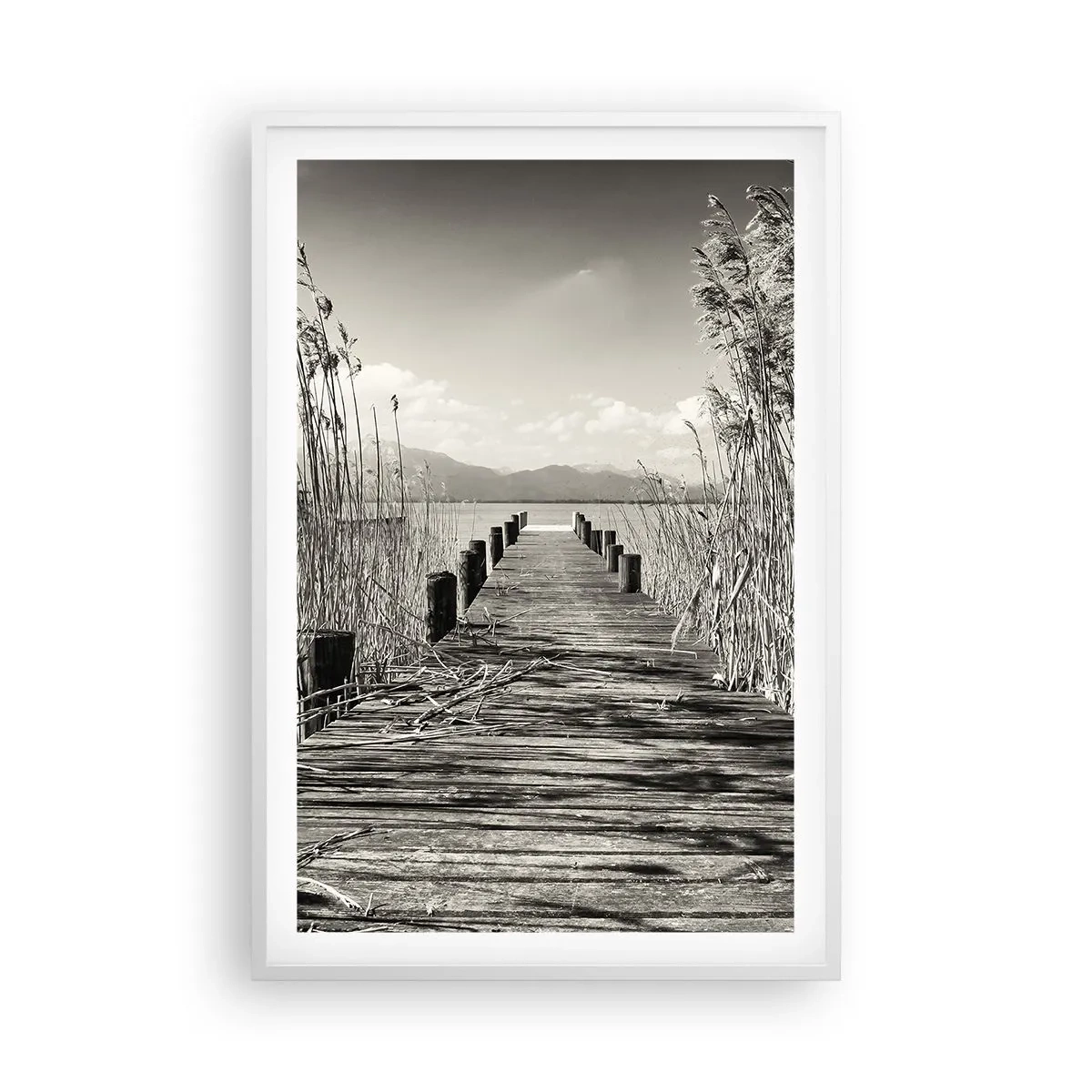 Poster in cornice bianca - Nel silenzio dell'erba - 61x91 cm