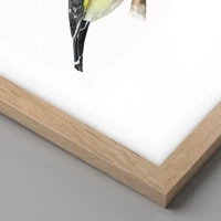 Rovere chiaro