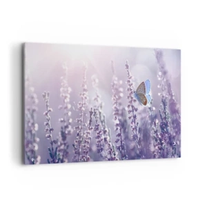 Quadro su tela - Stampe su Tela - Una farfalla sulla lavanda in fiore nella luce del mattino - 120x80cm - Il bacio della farfalla - Decorazione murale moderna per soggiorno e camera da letto ARTTOR