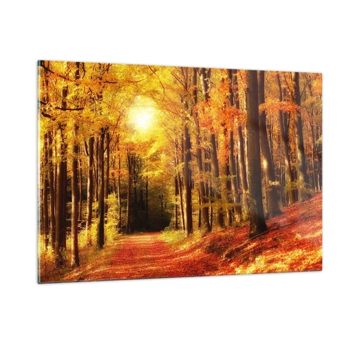 Quadro su vetro - Foresta autunnale immersa nella luce dorata del sole - 120x80cm - Autunno dorato nella via nel bosco - Decorazione murale moderna per soggiorno e camera da letto ARTTOR