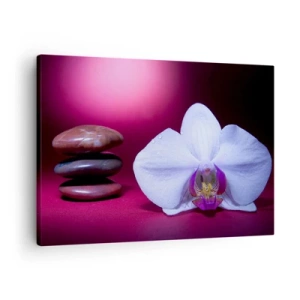 Quadro su tela - Stampe su Tela - Orchidea bianca e pietre su sfondo rosa - 70x50cm - Studio di freschezza in viola - Decorazione murale moderna per soggiorno e camera da letto ARTTOR