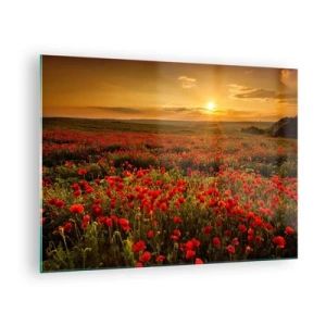 Quadro su vetro - Un campo di papaveri illuminato dai raggi del sole al tramonto - 70x50cm - Tra il fruscio delle erbe, in un'esplosione di fiori - Decorazione murale moderna per soggiorno e camera da letto ARTTOR