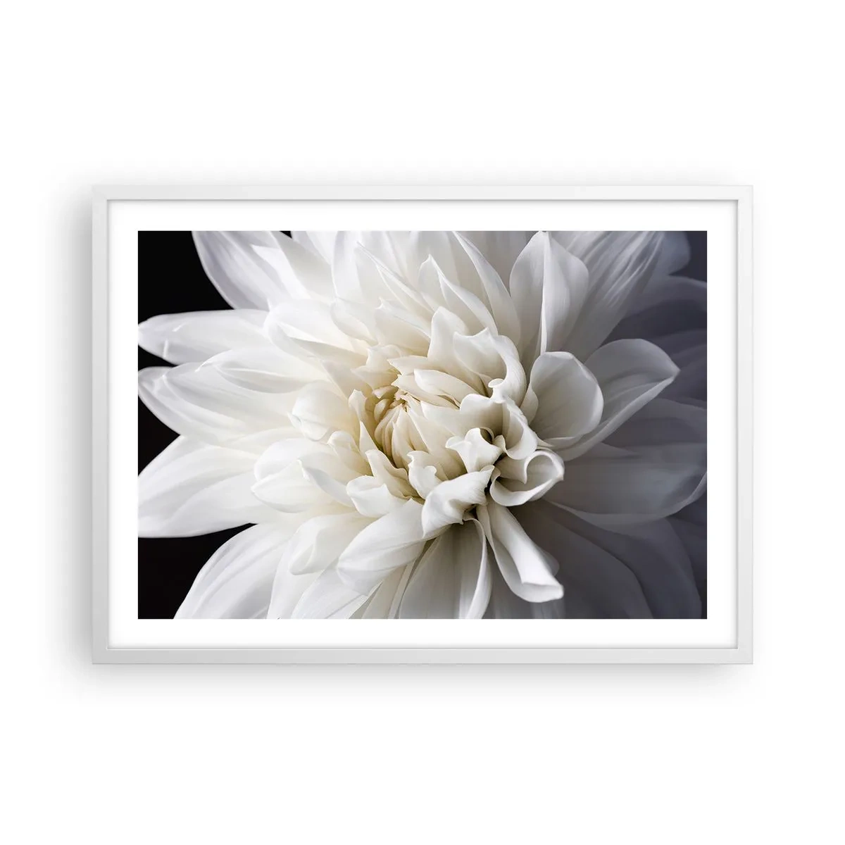 Poster in cornice bianca - Il mattino della sposa - 70x50 cm