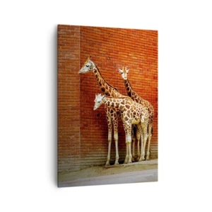 Quadro su tela - Stampe su Tela - Quattro giraffe contro un muro di mattoni in un ambiente artistico - 70x100cm - Vedete qualche acacia? - Decorazione murale moderna per soggiorno e camera da letto ARTTOR