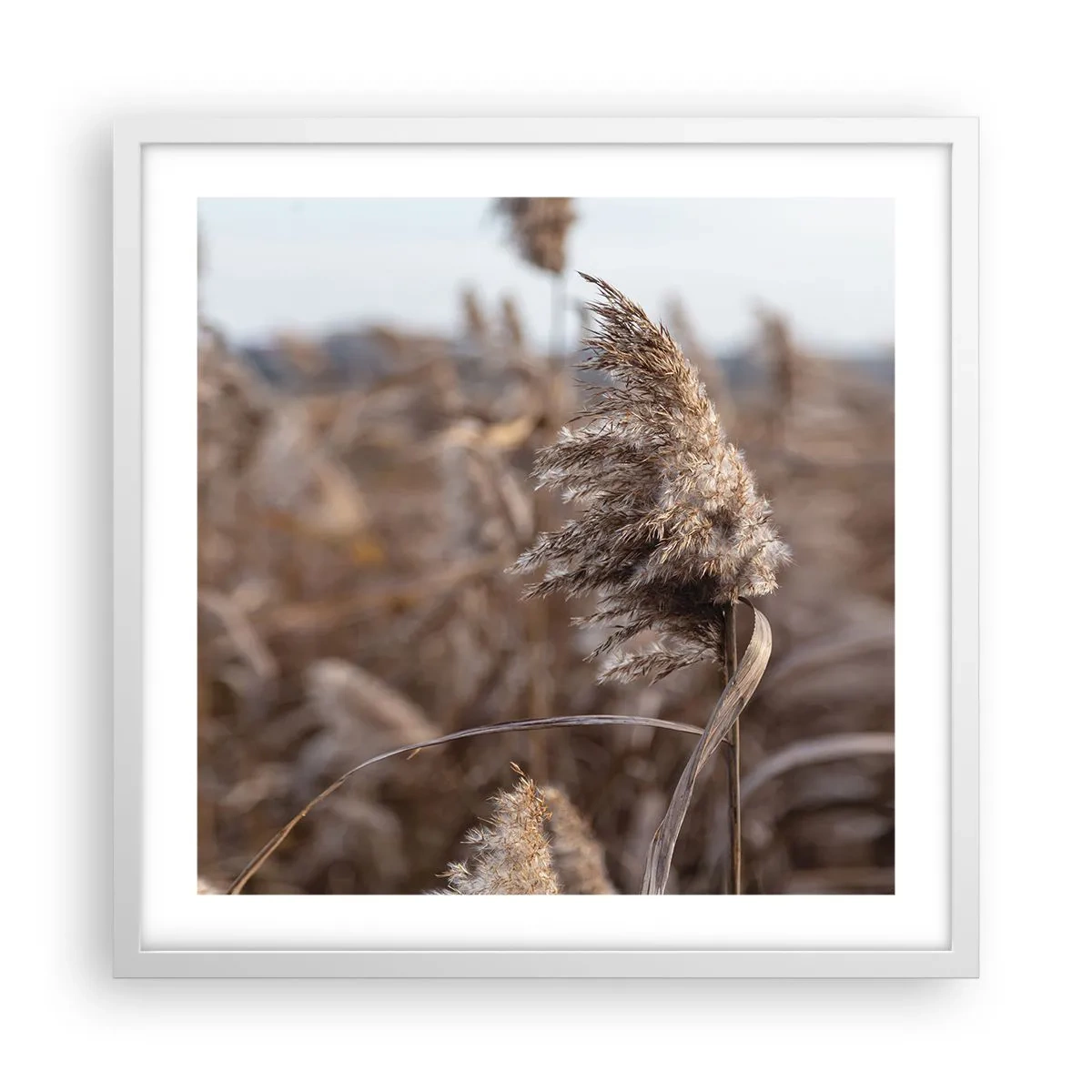 Poster in cornice bianca - è tempo di volare col vento - 50x50 cm