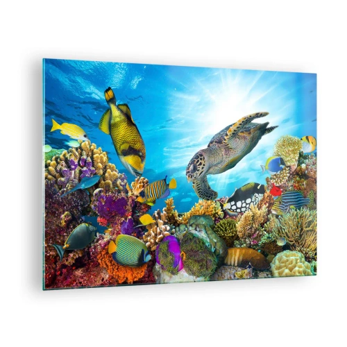 Quadro su vetro - Scena subacquea con tartarughe, pesci e coralli - 70x50cm - Passeggiata corallina - Decorazione murale moderna per soggiorno e camera da letto ARTTOR