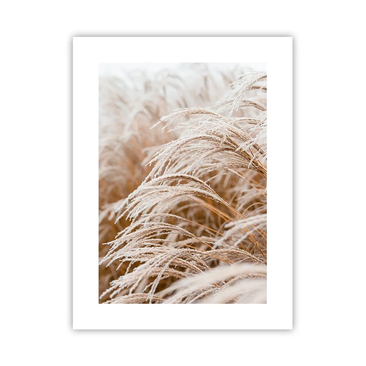 Poster - Inchino al sole d'autunno - 30x40 cm