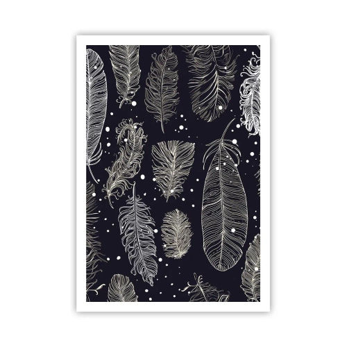 Poster - Pizzo piumato - 70x100 cm