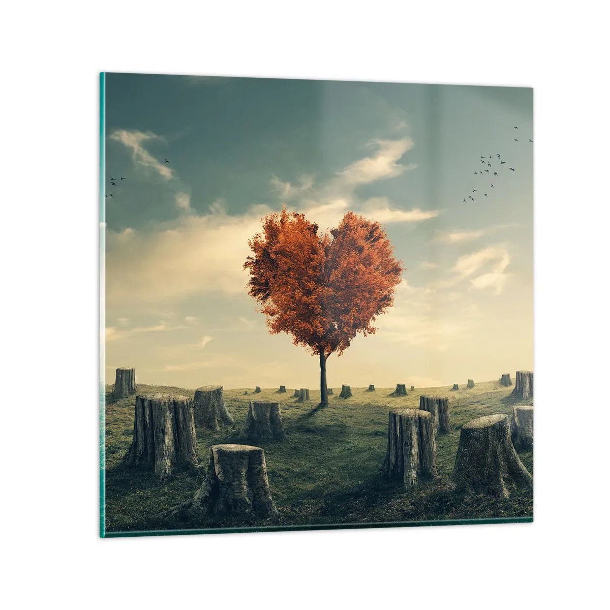 Quadro su vetro - C'è sempre speranza - 70x70 cm