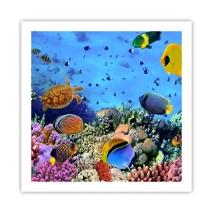 Poster - Ma cosa sappiamo della vita... - 60x60 cm