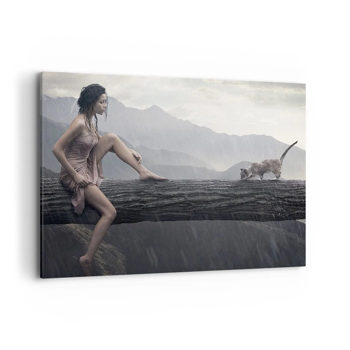 Quadro su tela - Stampe su Tela - Una donna e un gatto su un tronco d'albero sotto la pioggia, con vista sulle montagne. - 120x80cm - Cime di bellezza - Decorazione murale moderna per soggiorno e camera da letto ARTTOR