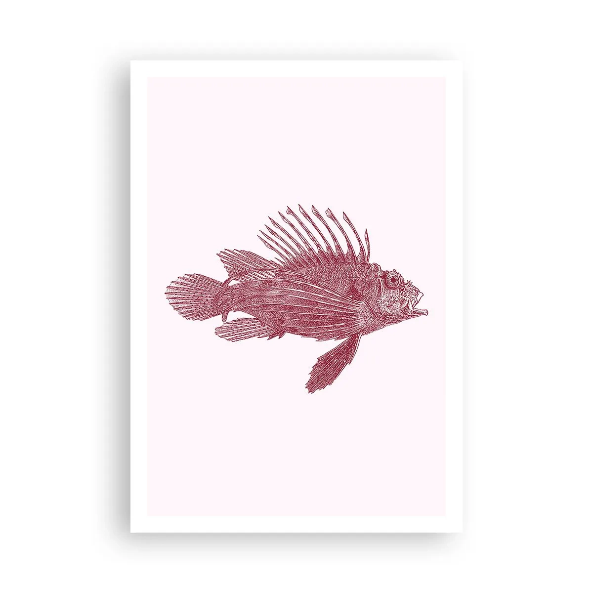 Poster - Abitante di mari esotici - 70x100 cm