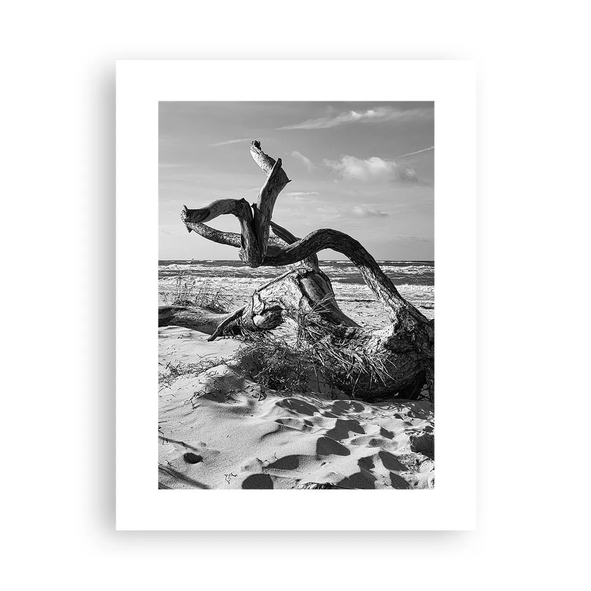 Poster - Scolpito dal mare - 30x40 cm