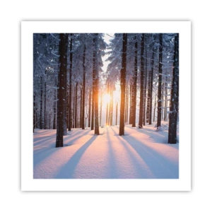 Poster - Decisamente nero su bianco - 50x50 cm