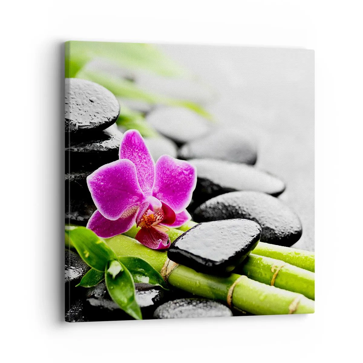 Quadro su tela - Stampe su Tela - Un tranquillo equilibrio - 40x40 cm