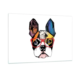 Quadro su vetro - Bulldog che indossa occhiali colorati su sfondo bianco - 120x80cm - Intellettuale - Decorazione murale moderna per soggiorno e camera da letto ARTTOR