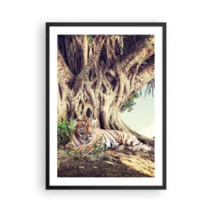 Poster in cornice nera - Una tigre che riposa sotto un enorme albero con radici aggrovigliate. - 50x70cm - Vista dal Libro della Genesi - Decorazione murale moderna per soggiorno e camera da letto ARTTOR