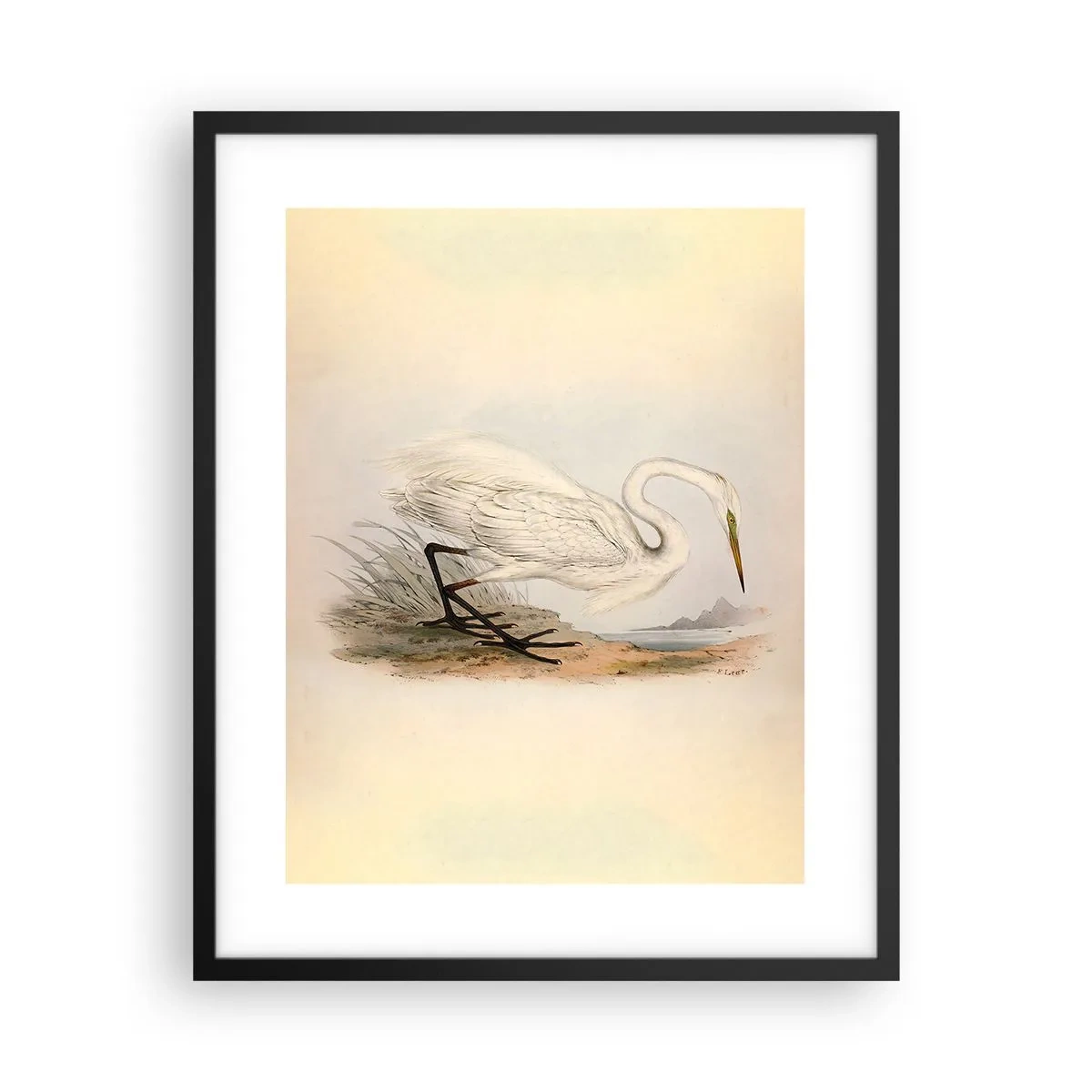 Poster in cornice nera - La signora nel canneto - 40x50 cm