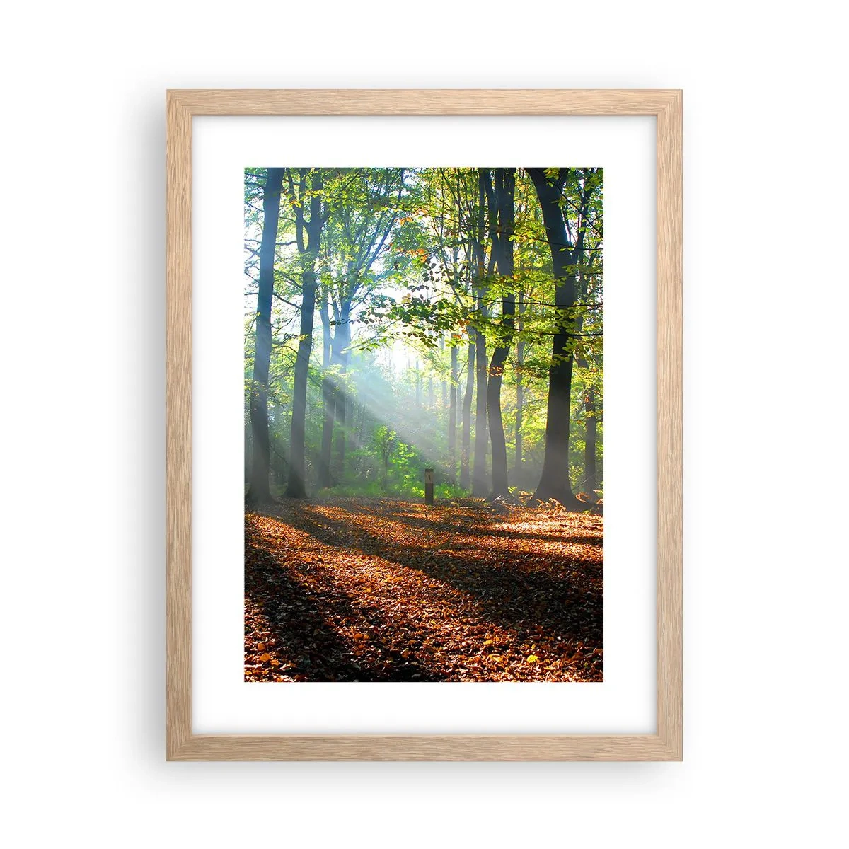 Poster in cornice rovere chiaro - Luci e ombre - 30x40 cm