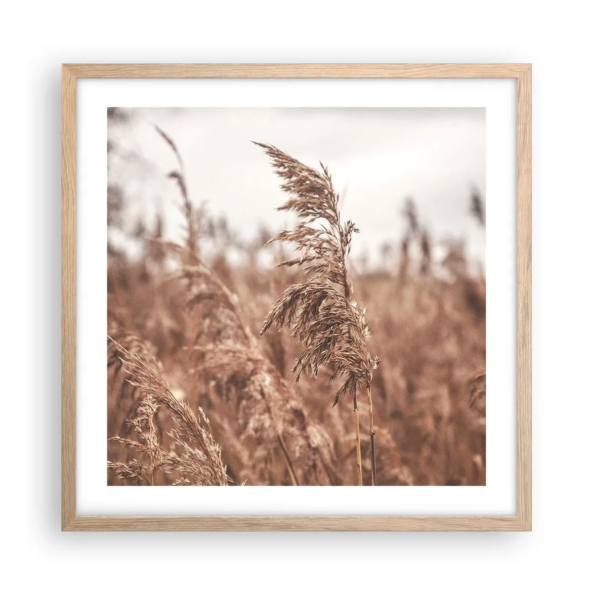 Poster in cornice rovere chiaro - Nei campi è già autunno - 50x50 cm