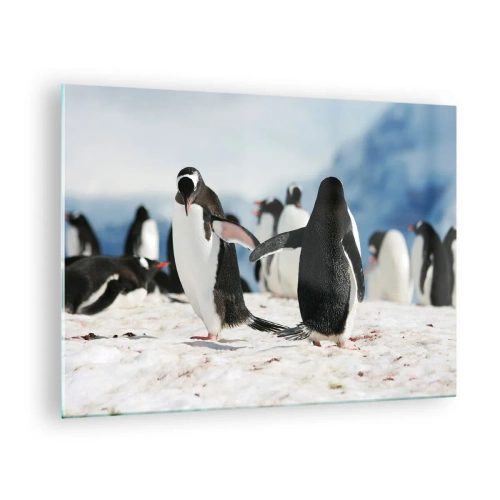 Quadro su vetro - Pinguini nella neve in uno scenario polare - 70x50cm - Danza sulla neve - Decorazione murale moderna per soggiorno e camera da letto ARTTOR