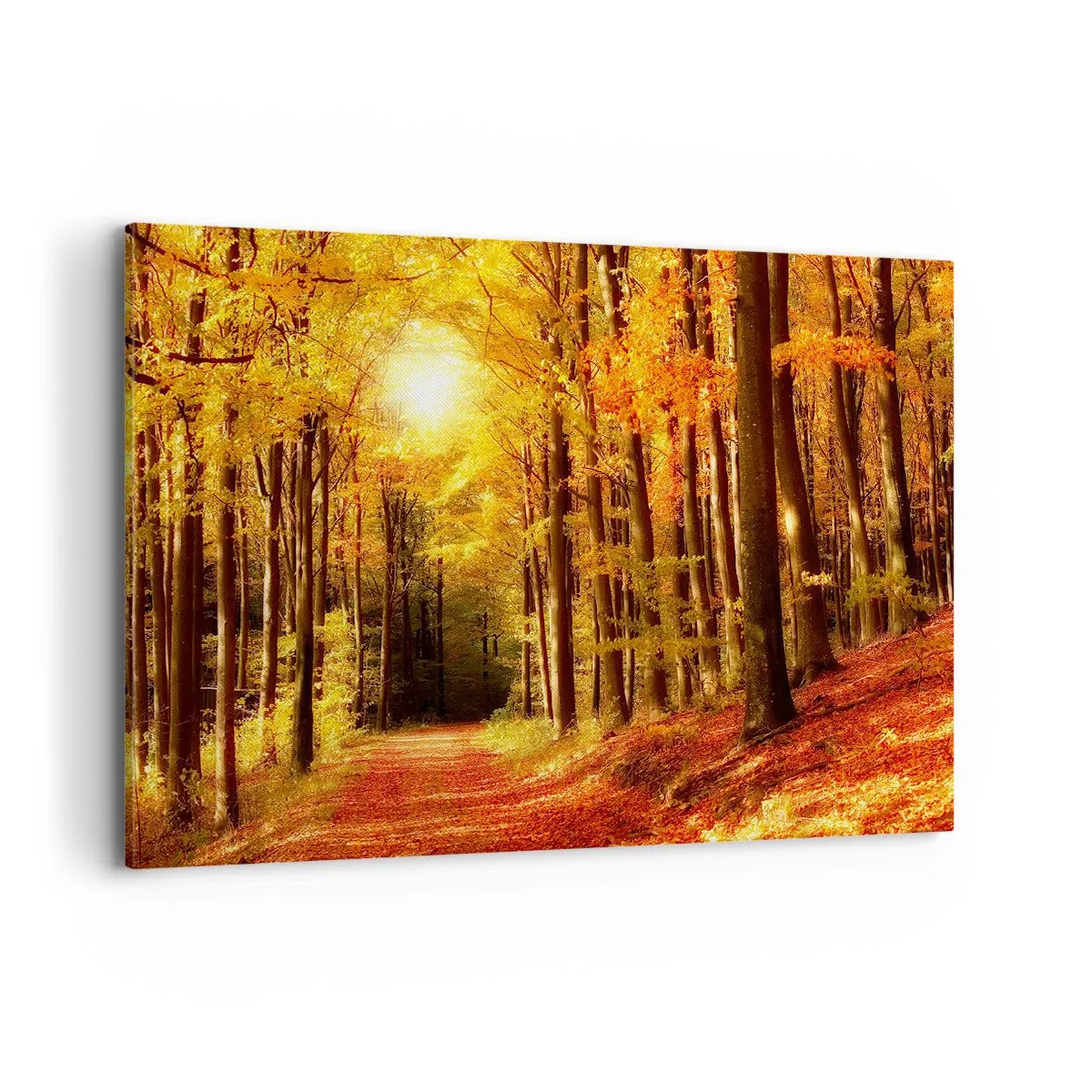 Quadro su tela - Stampe su Tela - Foresta autunnale con raggi di sole che brillano attraverso gli alberi - 120x80cm - Autunno dorato nella via nel bosco - Decorazione murale moderna per soggiorno e camera da letto ARTTOR