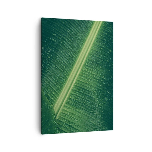 Quadro su tela - Stampe su Tela - Una foglia verde con gocce d'acqua sulla sua superficie - 70x100cm - La struttura del verde - Decorazione murale moderna per soggiorno e camera da letto ARTTOR