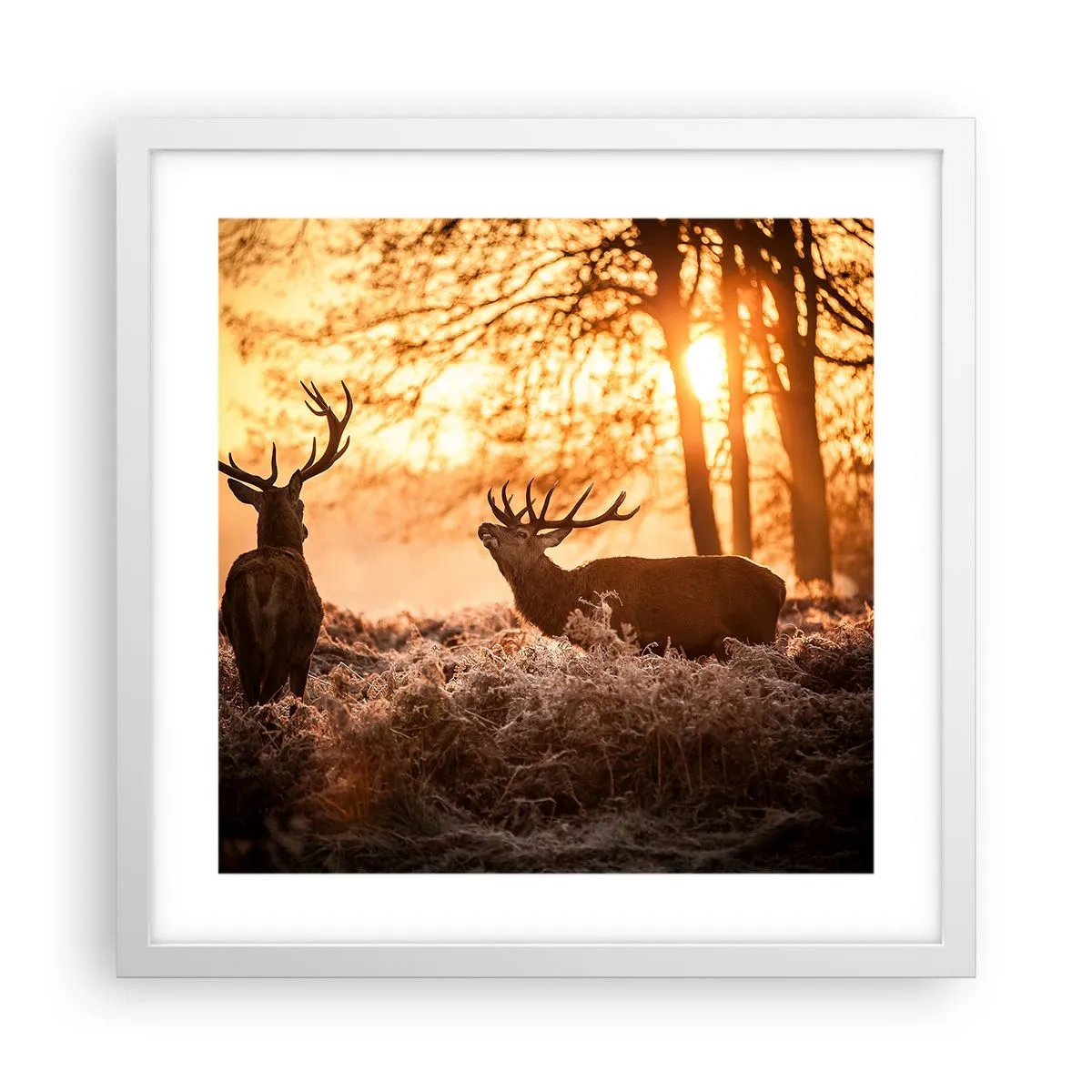Poster in cornice bianca - Il sogno del cacciatore - 40x40 cm