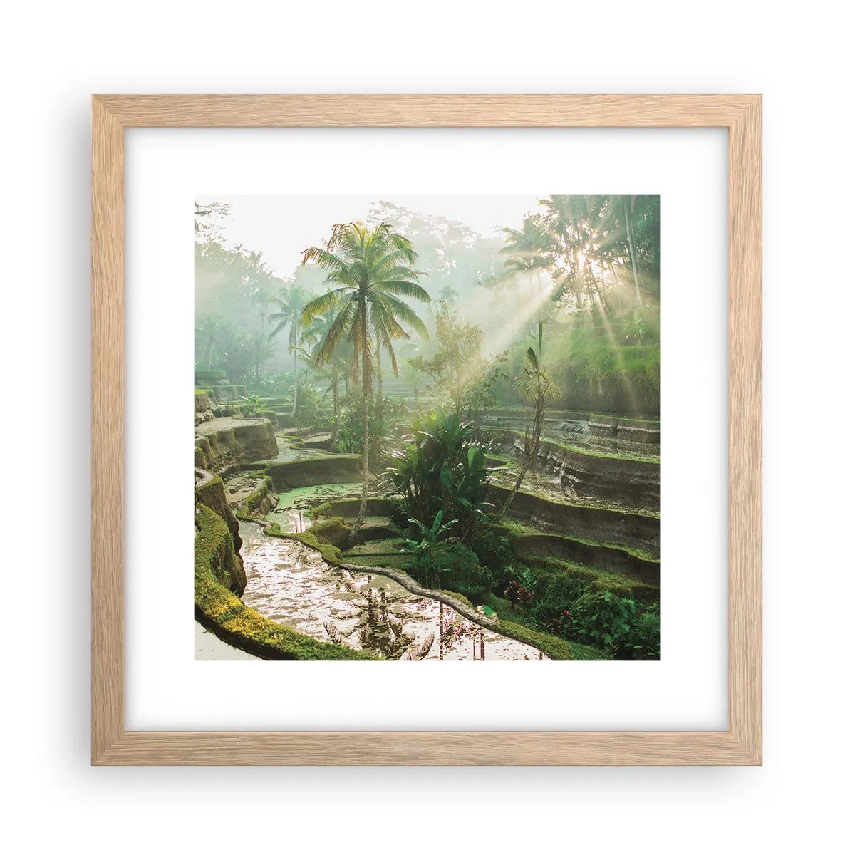 Poster in cornice rovere chiaro - Crescere al sole - 30x30 cm