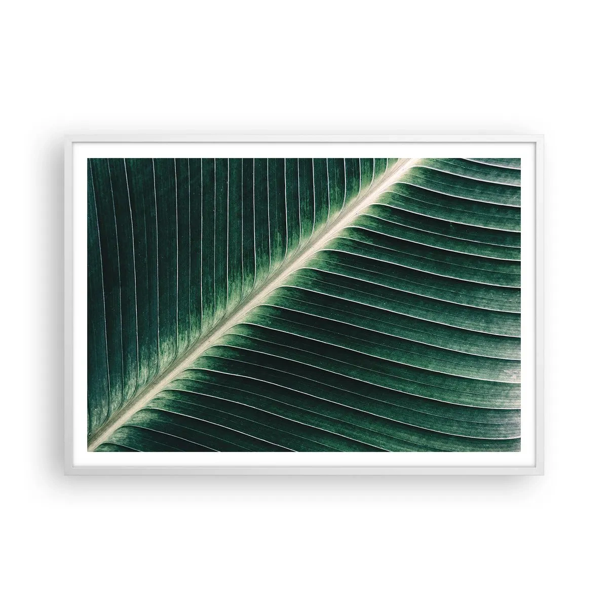 Poster in cornice bianca - Il ritmo della natura - 100x70 cm