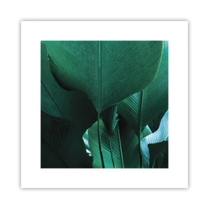 Poster - Verso la luce - 30x30 cm