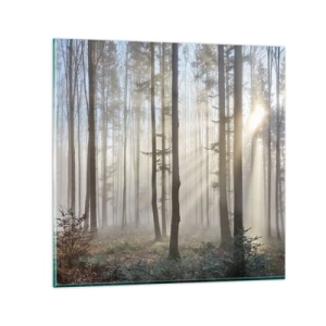 Quadro su vetro - Anche la nebbia si è svegliata - 70x70 cm