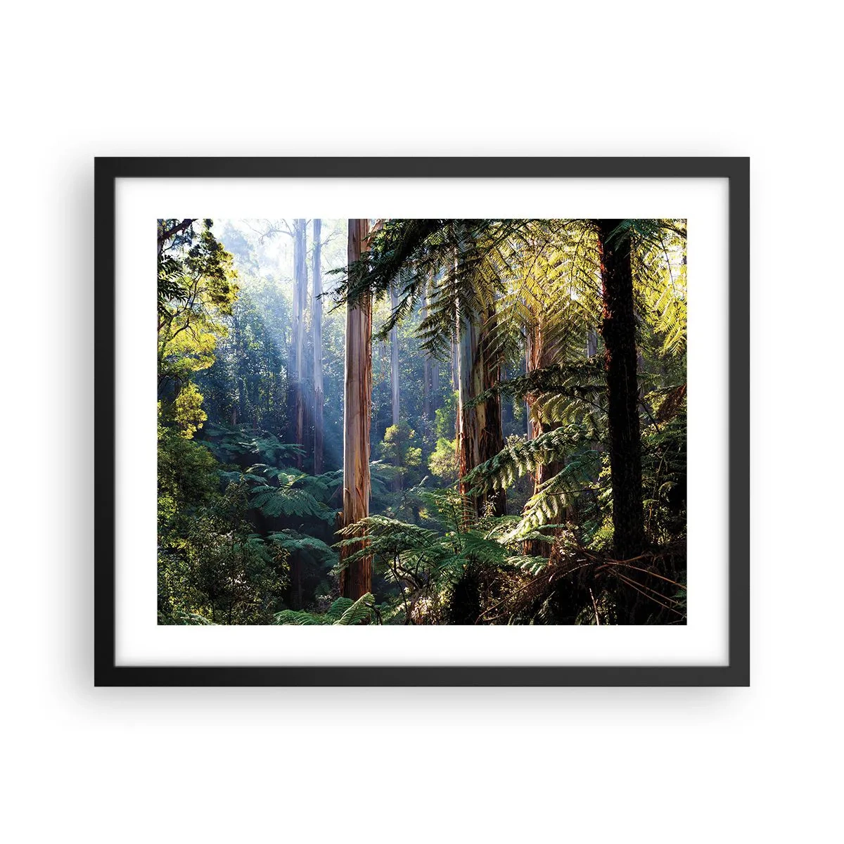 Poster in cornice nera - La favola del bosco - 50x40 cm