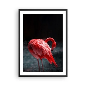 Poster in cornice nera - Un fenicottero rosso su sfondo scuro, leggermente rivolto verso se stesso. - 50x70cm - La poesia cremisi della natura - Decorazione murale moderna per soggiorno e camera da letto ARTTOR