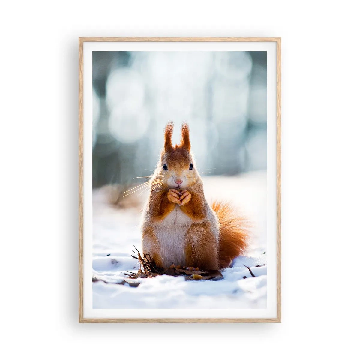 Poster in cornice rovere chiaro - Che cosa guardi? - 70x100 cm