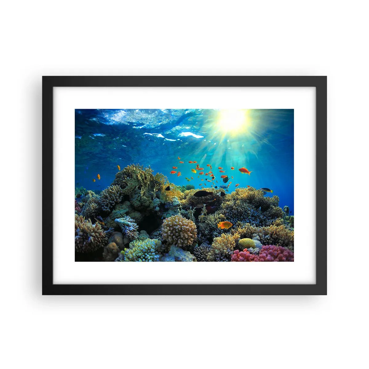 Poster in cornice nera - Tesori sotto al mare - 40x30 cm