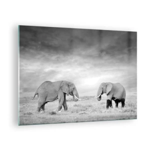 Quadro su vetro - Due elefanti nella savana nei toni del bianco e del nero - 70x50cm - Grigio è bello - Decorazione murale moderna per soggiorno e camera da letto ARTTOR