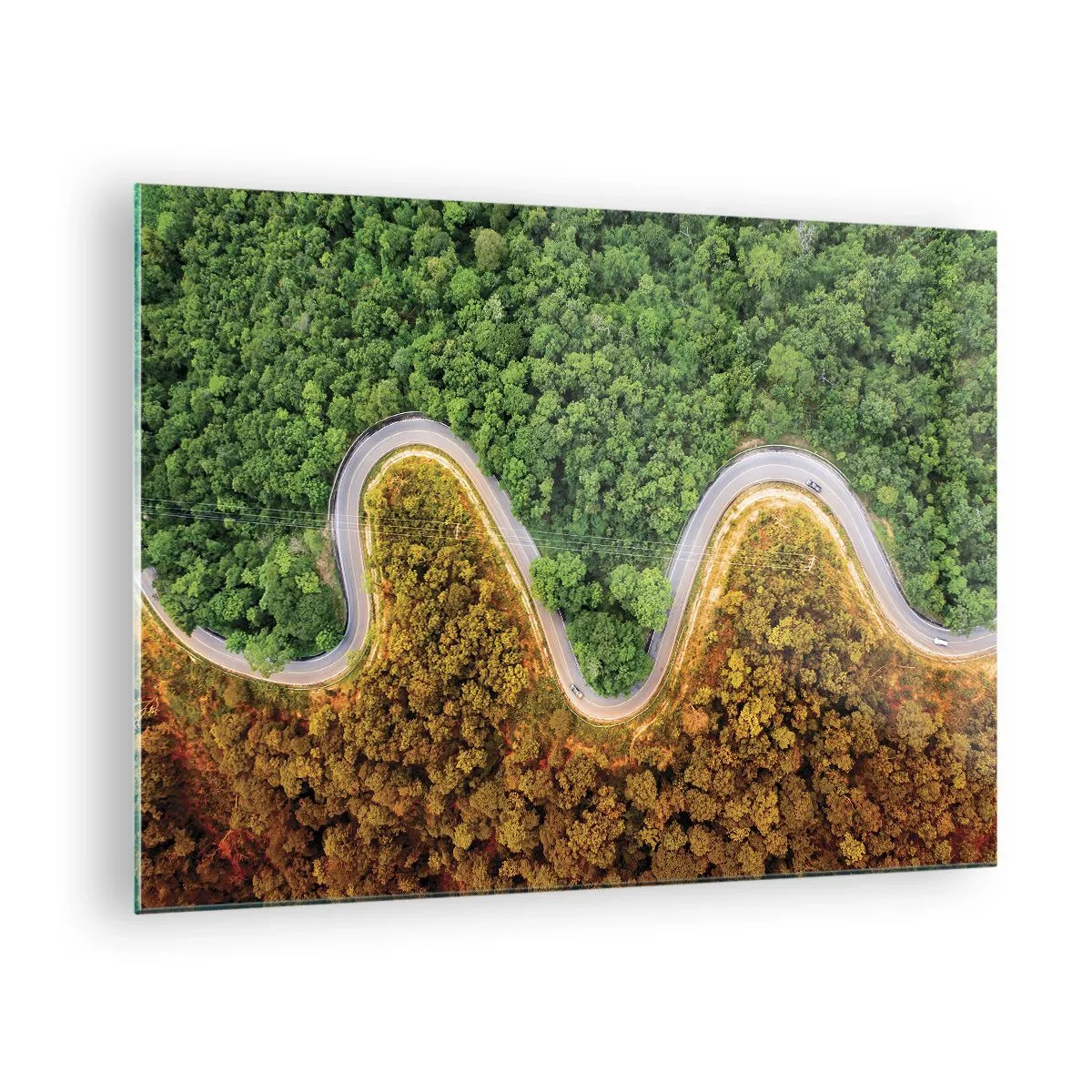Quadro su vetro - Una strada tortuosa attraverso una fitta foresta vista a volo d'uccello - 70x50cm - Confine e separazione - Decorazione murale moderna per soggiorno e camera da letto ARTTOR