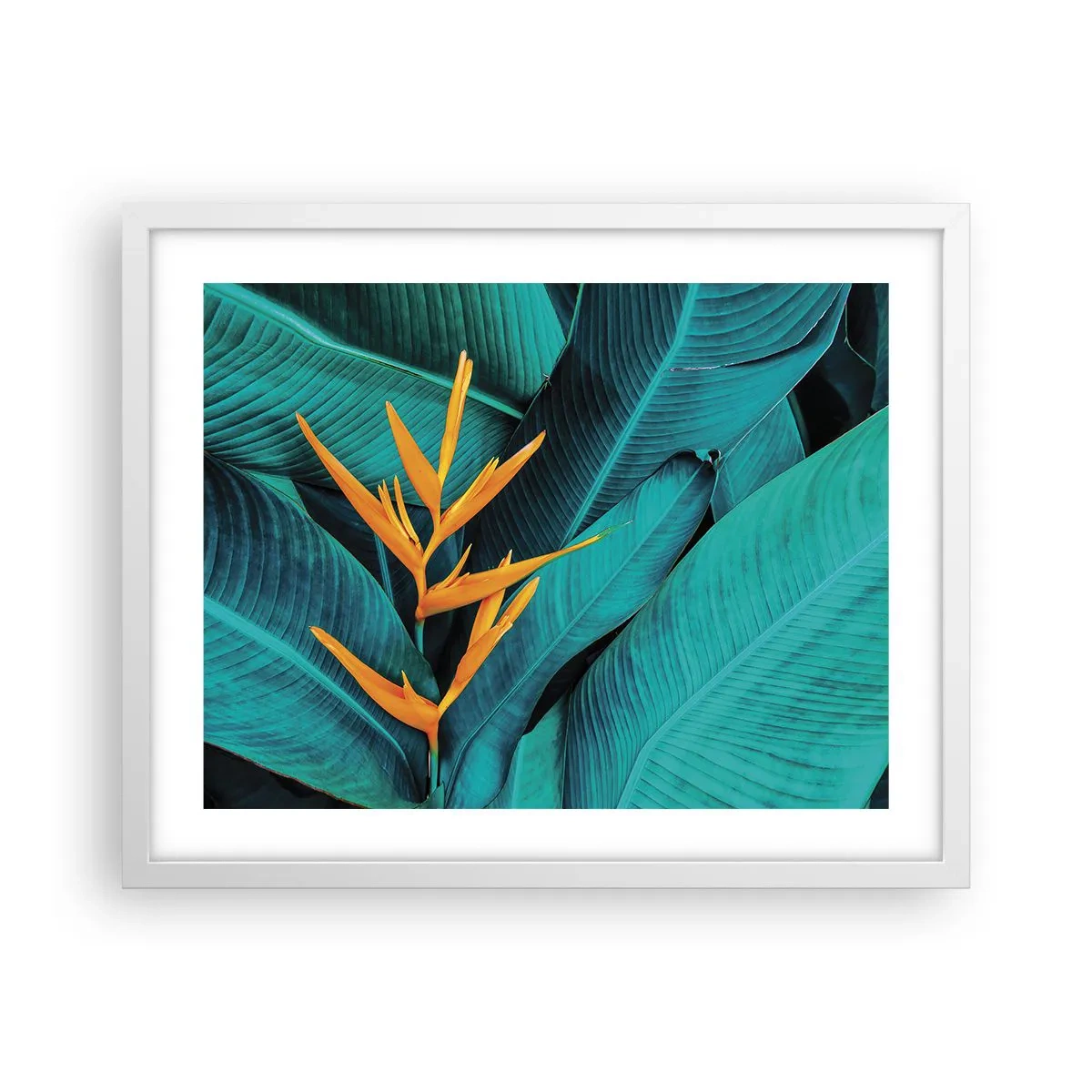 Poster in cornice bianca - Il fiore dell'Eden - 50x40 cm