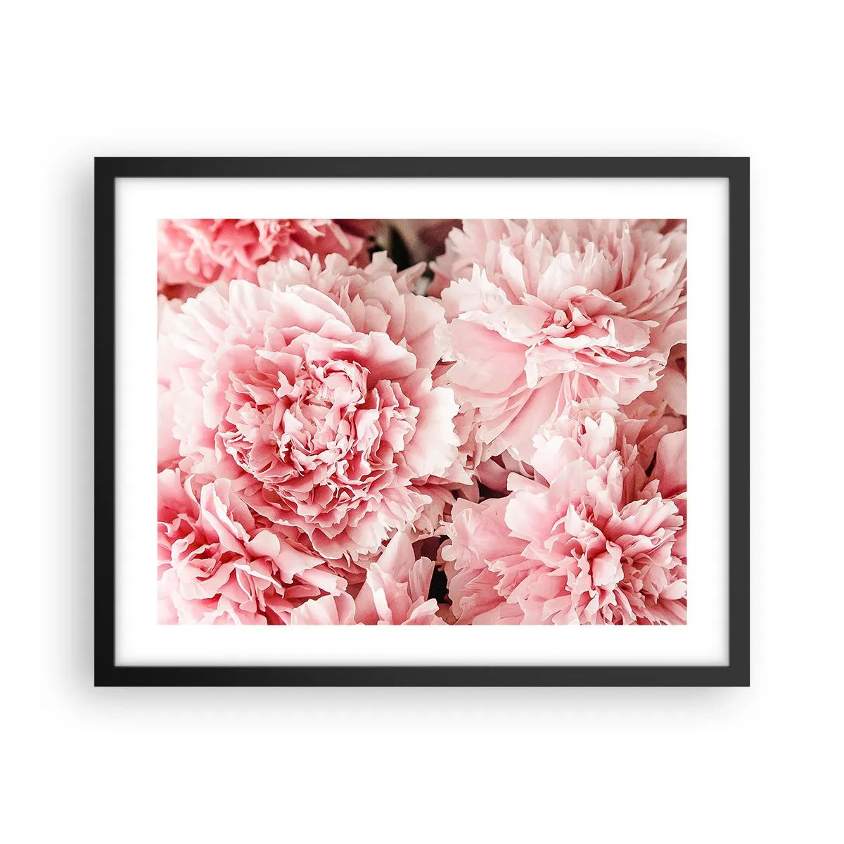Poster in cornice nera - Sogno rosa - 50x40 cm
