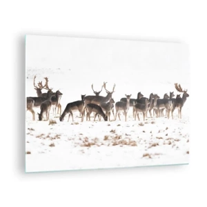 Quadro su vetro - Una fotografia di una mandria di cervi in un paesaggio innevato - 70x50cm - Tra poco è Natale? - Decorazione murale moderna per soggiorno e camera da letto ARTTOR