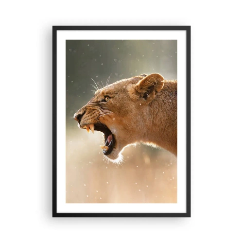 Poster in cornice nera - Primo piano di una leonessa furiosa in pieno movimento - 50x70cm - Prova a non ascoltare - Decorazione murale moderna per soggiorno e camera da letto ARTTOR